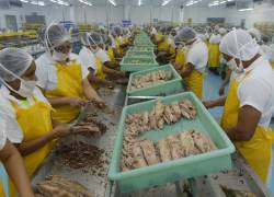 Personas trabajando en una planta procesadora de atún.