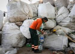 Bajos ingresos, falta de conciencia ambiental y la alta competencia por los materiales, son los principales problemas de los recicladores de base en el país.