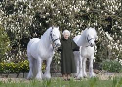 Fotografía de la reina Isabel II posando con sus ponies, Bybeck Nightingale y Bybeck Katie, realizada en honor a su cumpleaños 96 en su casa de campo en Sandringham (Photo by Henry DALLAL / ROYAL WINDSOR HORSE SHOW / AFP)
