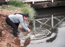 Las guardianas del agua: la lucha de las mujeres por obtener un recurso vital