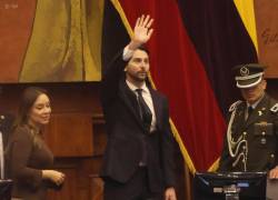 Fotografía del presidente de la Asamblea, el oficialista Niels Olsen.