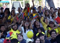 Los aficionados al futbol se congregarón en la plaza del Otorongo en Cuenca para observar el triunfo ante la selección alemana y pasar a los 16avos en el Mundial.