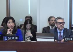 El viceministro de Movilidad Humana de Ecuador, Alejandro Dávalos, y la representante de El Salvador ante la Organización de los Estados Americanos (OEA), Wendy Acevedo, participan en una sesión extraordinaria del Consejo Permanente de la Organización de los Estados Americanos (OEA) este miércoles.