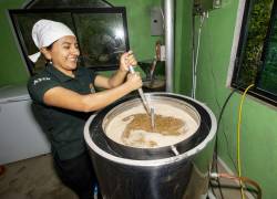 Producción de la cerveza artesanal amazónica Atik.