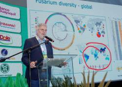 Durante los tres días de Banana Time Guayaquil 2025 intervendrán 18 conferencistas internacionales y 16nacionales.