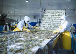 Colaboradores de Nirsa en su proceso de trabajo.