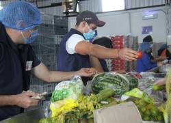 Trabajadores seleccinando y empacando alimentos aptos para donaciones