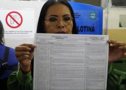 Diana Atamaint, presidenta del Consejo Nacional Electoral. Foto archivo: API / DANIEL MOLINEROS