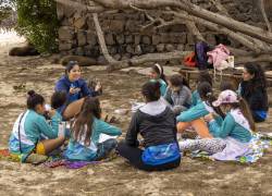 Galápagos: sin educación ambiental, el futuro de las islas corre peligro