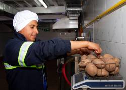 En el Agro Storage de PepsiCo se controla y conserva la calidad de la papa, que posteriormente es utilizada en la elaboración de los snacks de la empresa.