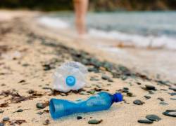 El 60% de la basura que llega a las playas ecuatorianas está constituida por plástico, principalmente por botellas, tapas, sorbetes y fundas.