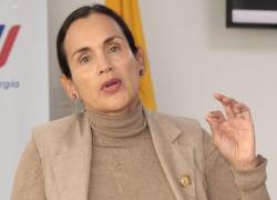 La ex ministra de Ambiente y Energía, Inés Manzano.