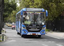 Fotografía de un bus de transporte urbano en Quito.