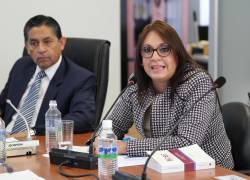 Fotografía de la legisladora correísta Nuria Butiñá.