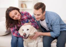Feng Shui: Las mascotas canalizan energías positivas en el hogar