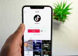 Imagen de referencia