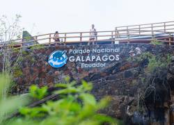 Refuerzan control en Tortuga Bay, playa de Galápagos, con infraestructura de ingreso
