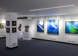 Emelec instaló primera galería artística deportiva en su estadio