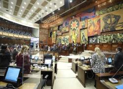 Informe sobre veto parcial del Gobierno a ley de aborto por violación entra a debate final en el Pleno