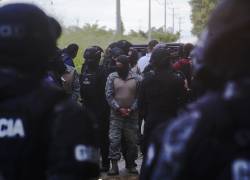 Reconstrucción de los hechos del caso Las Malvinas.