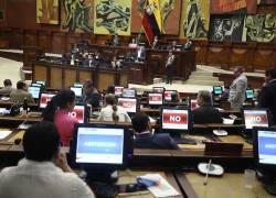 Ante el Pleno, se mocionaron a tres asambleístas: Otto Vera (PSC), Jaminton Intriago (PSC) y Gabriel Bedón (Construye). Foto: Asamblea Nacional