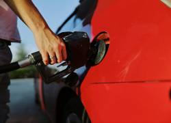 Nuevos precios de combustibles rigen desde este 12 de diciembre