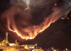 Fotografía que muestra el incendio forestal.