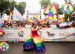 Juez de la Unidad Civil del Complejo Judicial Florida aceptó la acción de protección a favor de Silueta X LGBTIQ+ para realización del festival y desfile del Orgullo el 1 de julio de 2023 en el centro de Guayaquil.