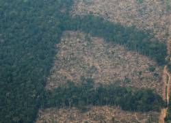 Deforestación en la Amazonía brasileña.