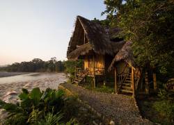 Selina Amazon Tena está ubicado en la cuenca del río Napo (entre Tena y Misahuallí). El hotel permite a sus huéspedes sumergirse en la naturaleza con actividades al aire libre.