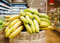 El banano aporta con potasio, fibra, vitamina C y vitamina B6, esenciales para la nutrición humana.