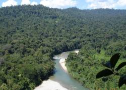 Fotografía panorámica del Parque Nacional Podocarpus