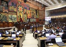 Microvistazo | Asamblea aprueba la reforma para permitir bases militares extranjeras en Ecuador