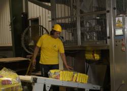 La industria de alimentos balanceados para mascotas en Ecuador se ha comprometido en la investigación y desarrollo de fórmulas más avanzadas y nutritivas.