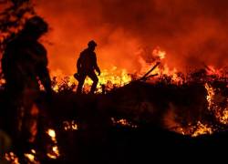 Según los científicos, existe una relación directa entre las olas de calor y el cambio climático.