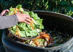 WWF Ecuador hace un llamado a reflexionar durante La Hora del Planeta sobre las acciones que se pueden hacer para evitar el desperdicio de alimentos.