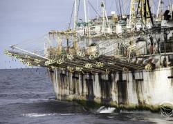 La presencia de la flota pesquera internacional suele repetirse cada año y genera preocupación en países sudamericanos del Pacífico como Ecuador, Perú y Chile.