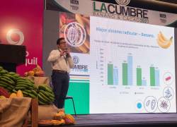 La Cumbre de Banano y Cacao se desarrollará del 15 al 17 de noviembre en el Centro de Convenciones.