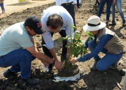 Trabajadores de Agripac e invitados sembraron 30 árboles de Palo Prieto en las instalaciones de la planta Laquinsa en Durán.