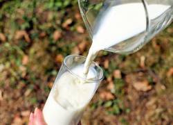 ARCSA se pronuncia tras alerta de presunta contaminación de la leche en Ecuador: se trata de un estudio inconcluso