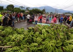 Como medida de protestas, los manifestantes bloquearon la carretera de la provincia de Guayas con cientos de racimos de banano.