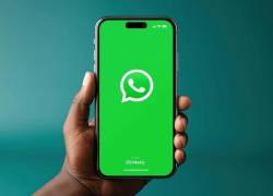 Nueva opción de reporte en la beta de WhatsApp para iOS.