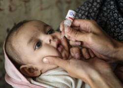 “El riesgo de reintroducción de poliomielitis es real”, dice la Sociedad Latinoamericana de Infectología Pediátrica