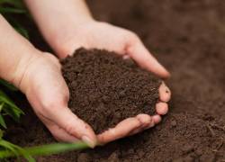 Con el abono se llega a recuperar la materia orgánica del suelo. Pronaca produce anualmente 15.100 toneladas de abonos procesados para consumo nacional.