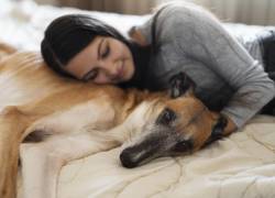 ¿Dormir la siesta con tu mascota? La ciencia dice que es una gran idea