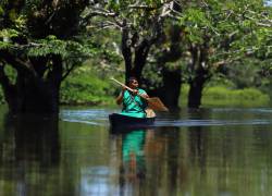 Witman Criollo rema en una de las 14 lagunas que se forman en Cuyabeno durante le época más lluviosa.