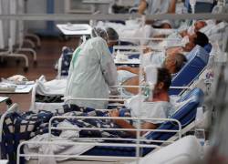 La variante uruguaya incluye dos mutaciones relevantes que están ubicadas en la proteína Spike.