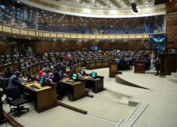 El Pleno de la Asamblea aprueba informe de minoría de la Ley de Comunicación.