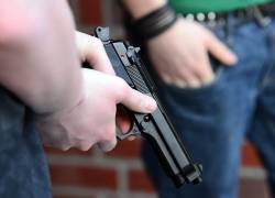 Imagen de referencia