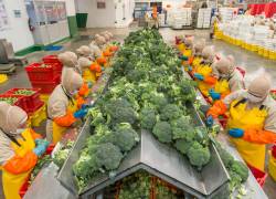 Las exportaciones de brócoli crecieron un 10 por ciento en el 2022. Los envíos hacia Japón se incrementaron en un 20 por ciento.